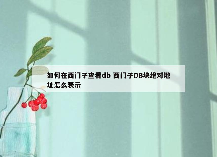 如何在西门子查看db 西门子DB块绝对地址怎么表示