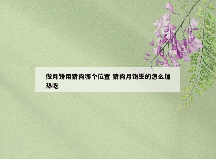 做月饼用猪肉哪个位置 猪肉月饼生的怎么加热吃