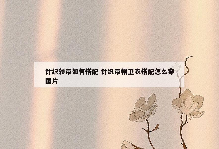 针织领带如何搭配 针织带帽卫衣搭配怎么穿图片