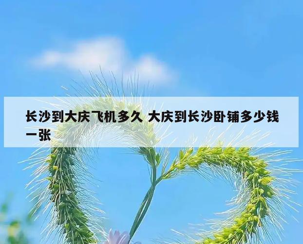 长沙到大庆飞机多久 大庆到长沙卧铺多少钱一张