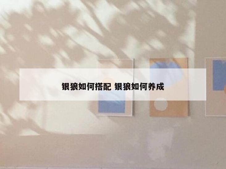 银狼如何搭配 银狼如何养成