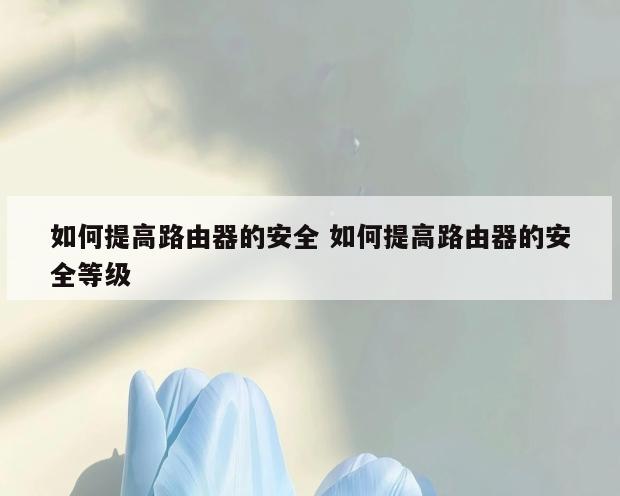 如何提高路由器的安全 如何提高路由器的安全等级