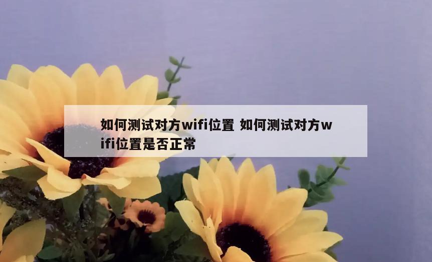 如何测试对方wifi位置 如何测试对方wifi位置是否正常