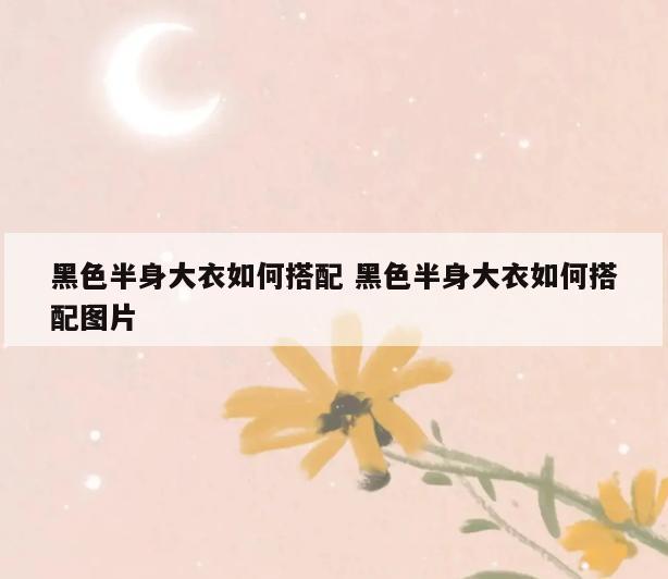黑色半身大衣如何搭配 黑色半身大衣如何搭配图片
