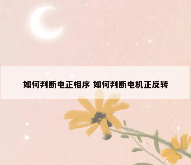 如何判断电正相序 如何判断电机正反转