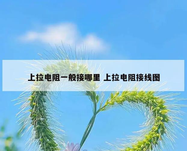 上拉电阻一般接哪里 上拉电阻接线图
