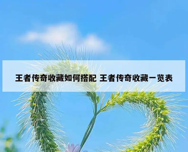 王者传奇收藏如何搭配 王者传奇收藏一览表