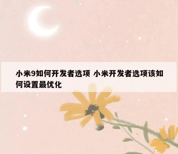 小米9如何开发者选项 小米开发者选项该如何设置最优化
