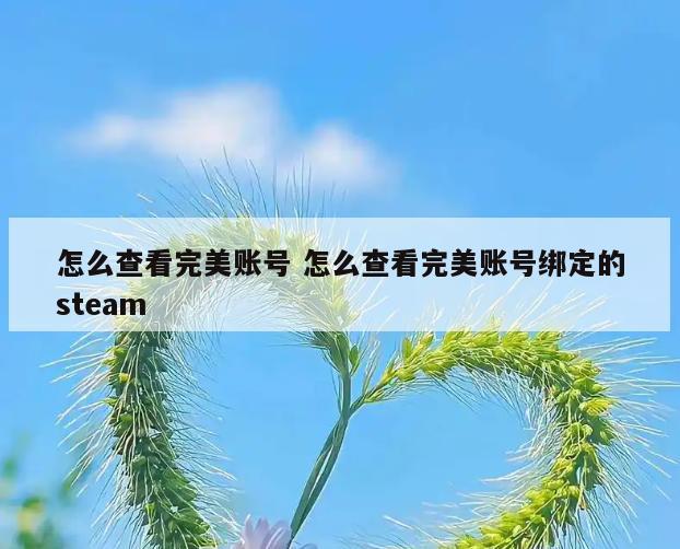 怎么查看完美账号 怎么查看完美账号绑定的steam