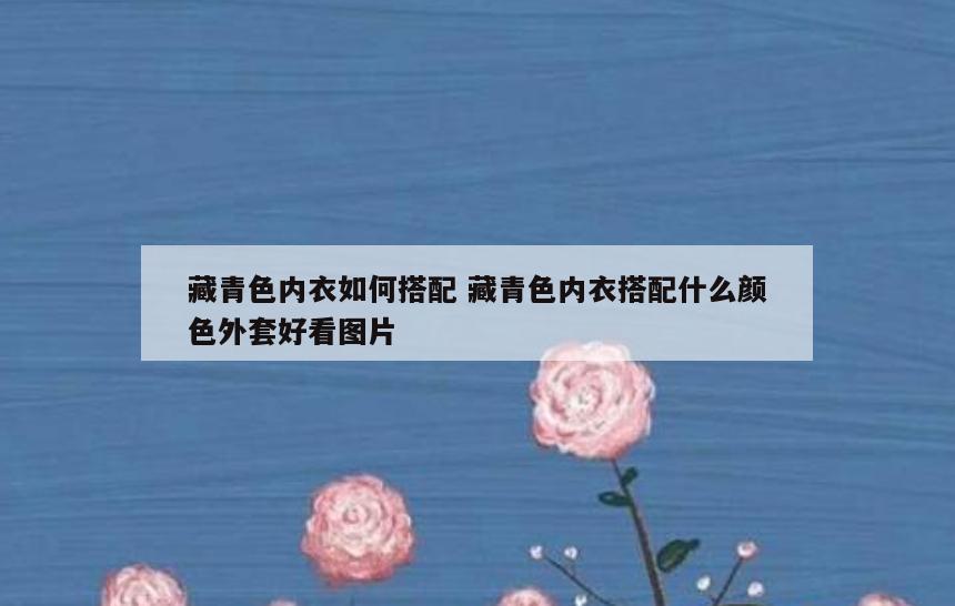藏青色内衣如何搭配 藏青色内衣搭配什么颜色外套好看图片