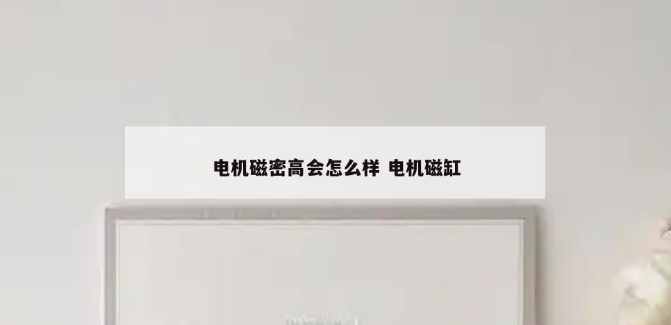电机磁密高会怎么样 电机磁缸