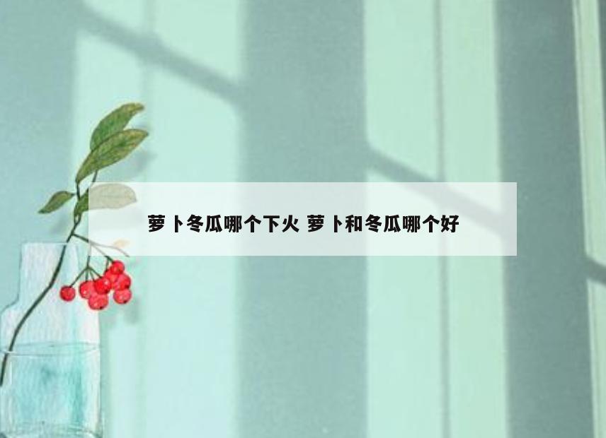 萝卜冬瓜哪个下火 萝卜和冬瓜哪个好