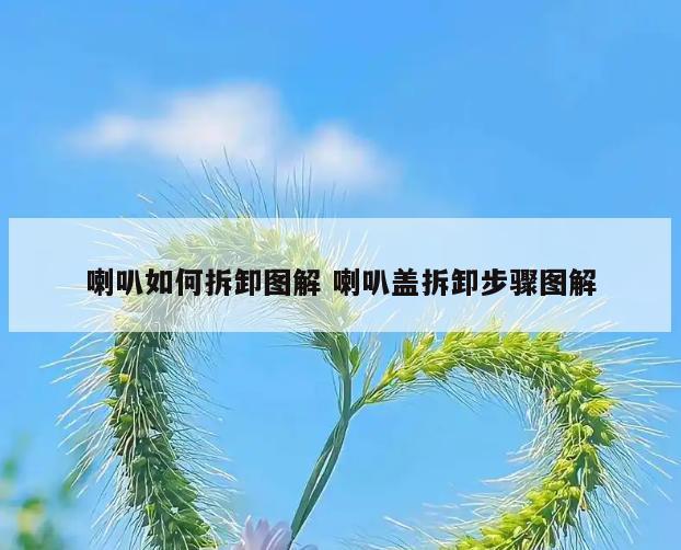喇叭如何拆卸图解 喇叭盖拆卸步骤图解