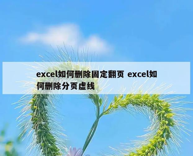 excel如何删除固定翻页 excel如何删除分页虚线