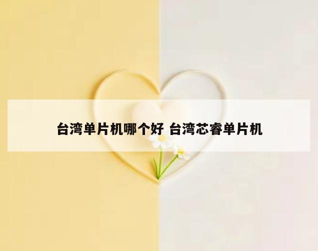 台湾单片机哪个好 台湾芯睿单片机