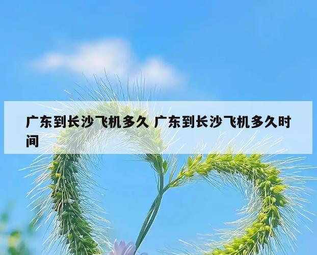 广东到长沙飞机多久 广东到长沙飞机多久时间