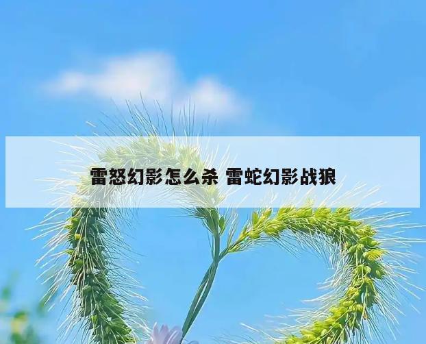 雷怒幻影怎么杀 雷蛇幻影战狼