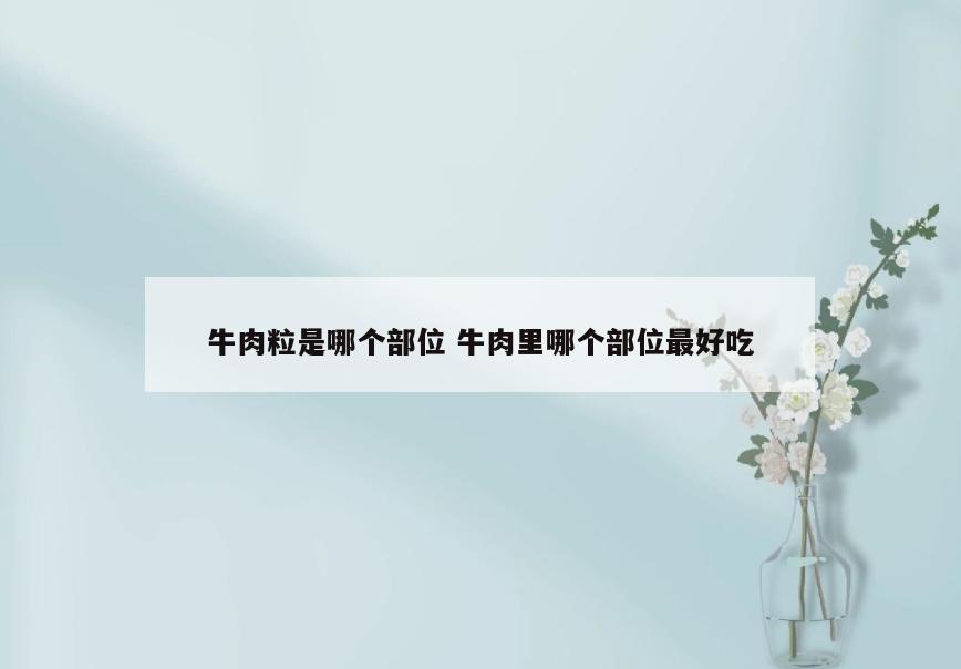 牛肉粒是哪个部位 牛肉里哪个部位最好吃