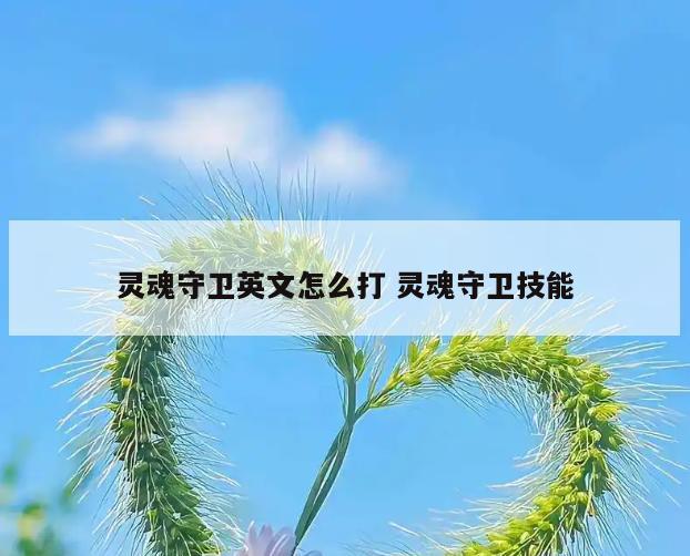 灵魂守卫英文怎么打 灵魂守卫技能