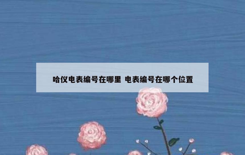 哈仪电表编号在哪里 电表编号在哪个位置