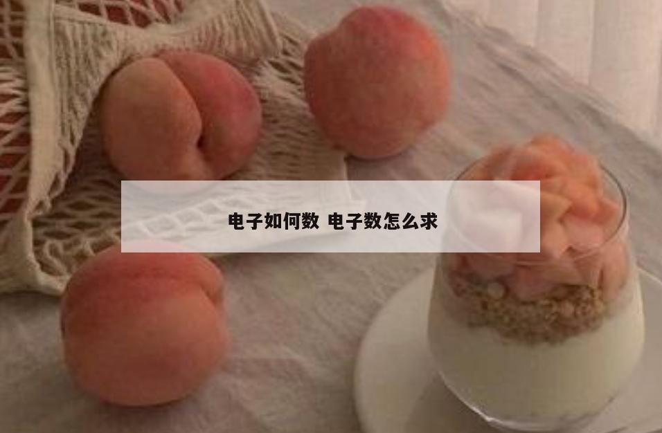 电子如何数 电子数怎么求
