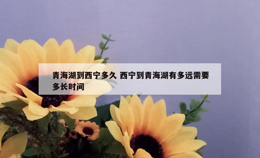 青海湖到西宁多久 西宁到青海湖有多远需要多长时间