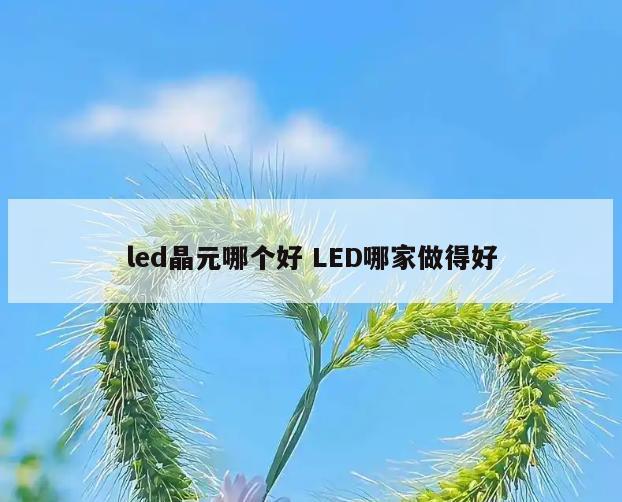 led晶元哪个好 LED哪家做得好