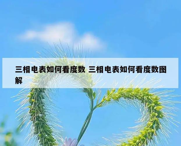 三相电表如何看度数 三相电表如何看度数图解
