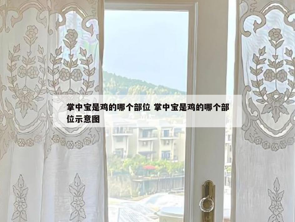 掌中宝是鸡的哪个部位 掌中宝是鸡的哪个部位示意图