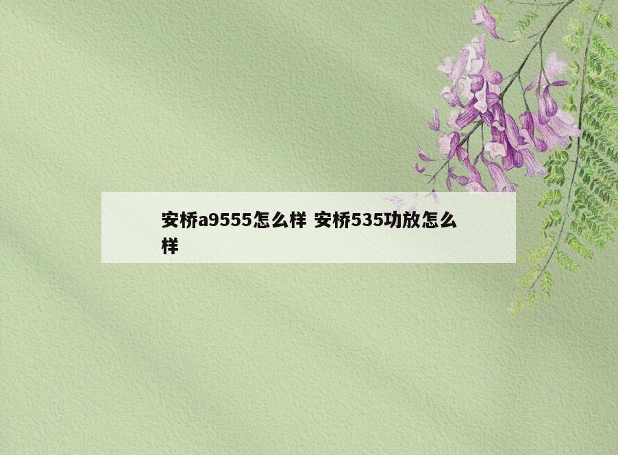 安桥a9555怎么样 安桥535功放怎么样
