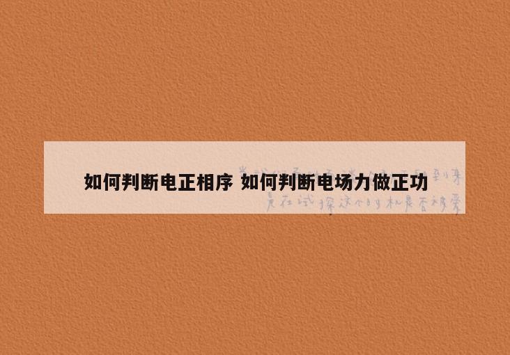 如何判断电正相序 如何判断电场力做正功
