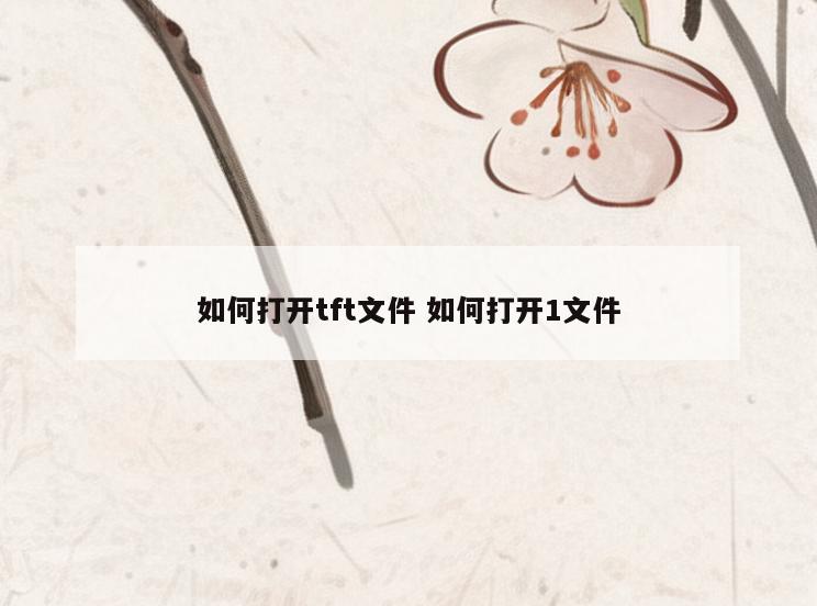 如何打开tft文件 如何打开1文件