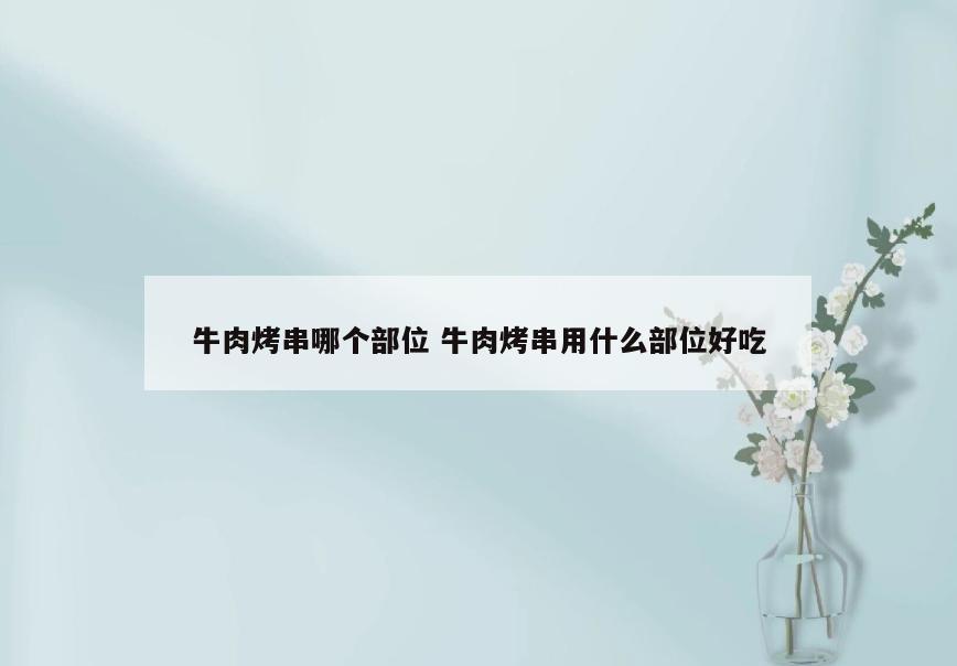 牛肉烤串哪个部位 牛肉烤串用什么部位好吃