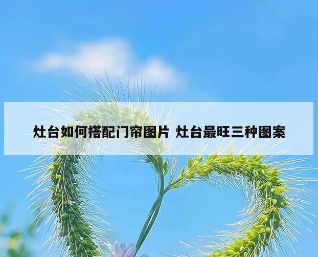 灶台如何搭配门帘图片 灶台最旺三种图案