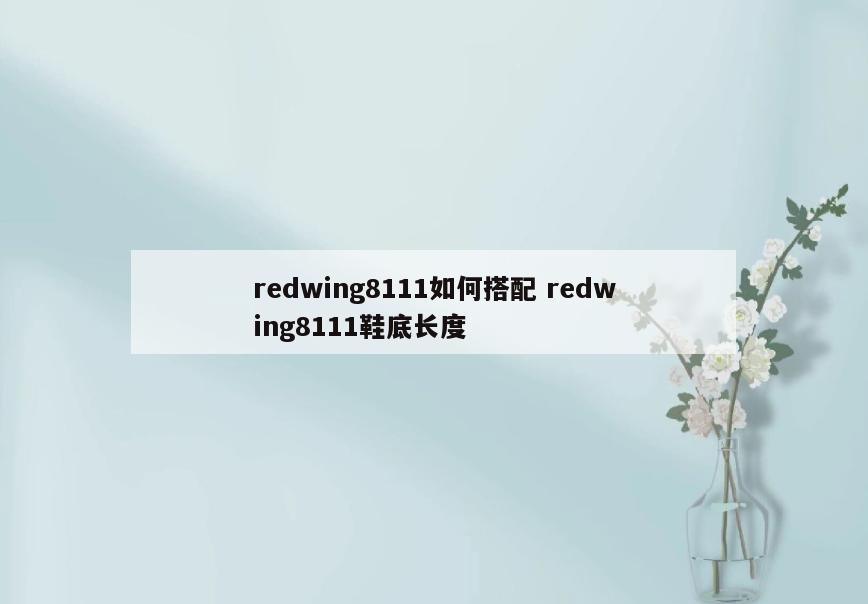 redwing8111如何搭配 redwing8111鞋底长度