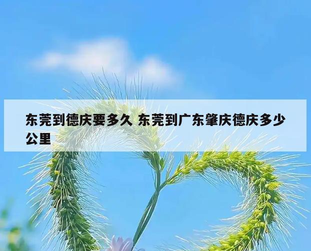 东莞到德庆要多久 东莞到广东肇庆德庆多少公里