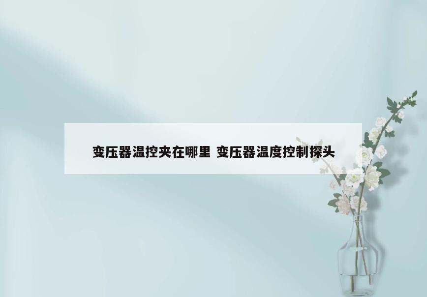 变压器温控夹在哪里 变压器温度控制探头
