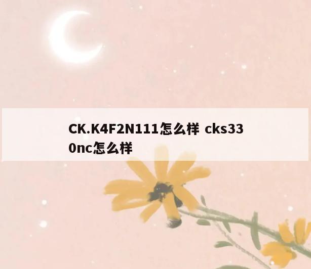 CK.K4F2N111怎么样 cks330nc怎么样