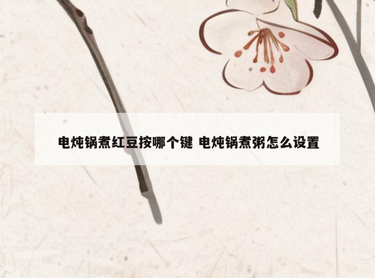 电炖锅煮红豆按哪个键 电炖锅煮粥怎么设置