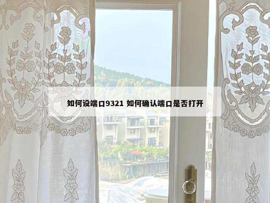 如何设端口9321 如何确认端口是否打开