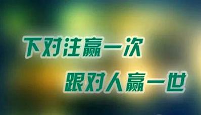 金企鹅投资攻略分享 投资技巧及操作指南 