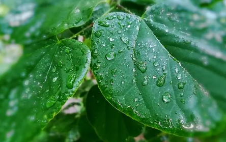 今年闰二月雨水多吗2023,24节气遇到闰月怎么办