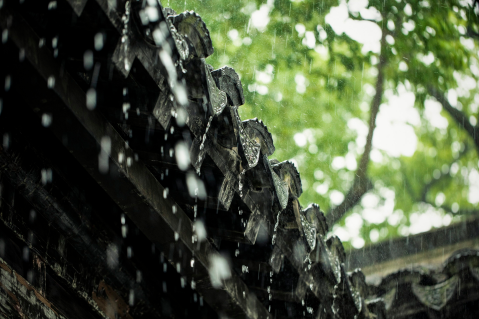 2023年春天是雨多还是雨少,2023年春天雨水多吗南方