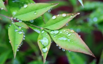 湖南下雨为什么要下到五月2023 以及为什么湖南常年下雨