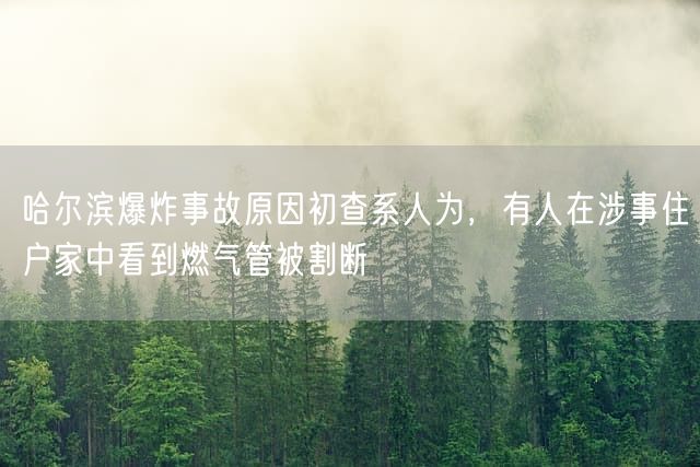 哈尔滨爆炸事故原因初查系人为，有人在涉事住户家中看到燃气管被割断