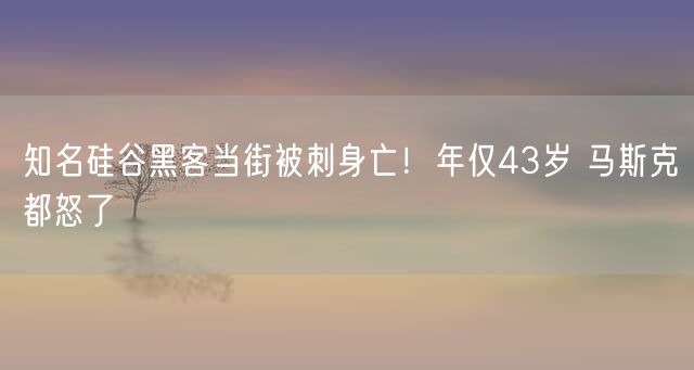 知名硅谷黑客当街被刺身亡！年仅43岁 马斯克都怒了