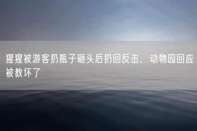 猩猩被游客扔瓶子砸头后扔回反击，动物园回应被教坏了