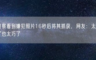 警察看到嫌犯照片16秒后将其抓获，网友：太快了也太巧了