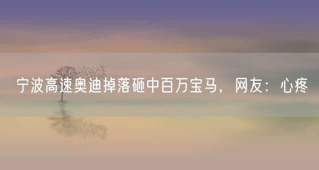 宁波高速奥迪掉落砸中百万宝马，网友：心疼