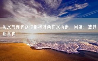 泼水节连狗路过都得淋两桶水再走，网友：放过那条狗